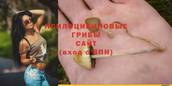 прущие грибы Абдулино