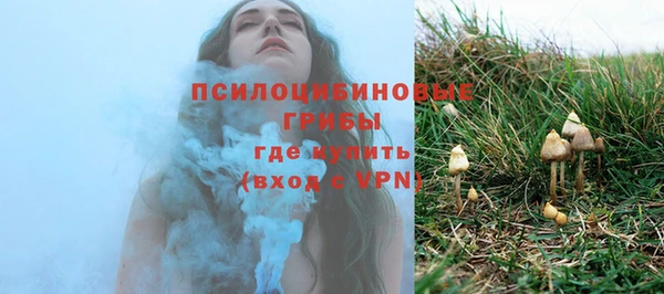 ешки Абинск