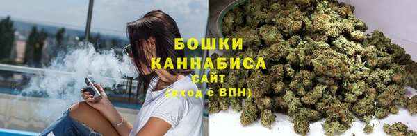 прущие грибы Абдулино