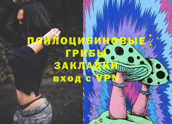 гашиш Абаза
