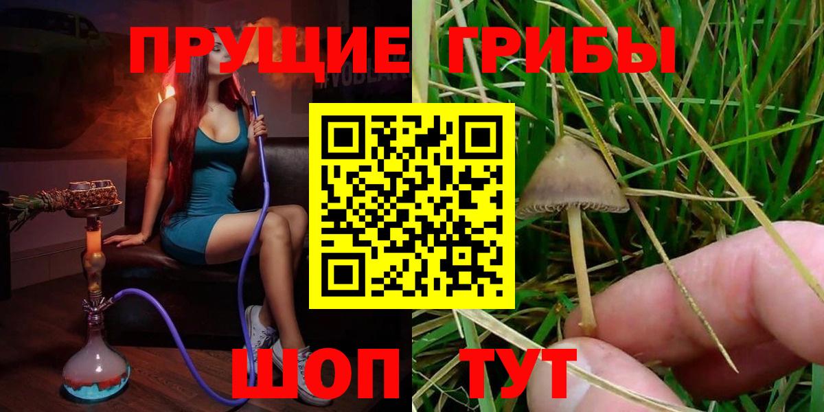 Псилоцибиновые грибы мицелий Керчь