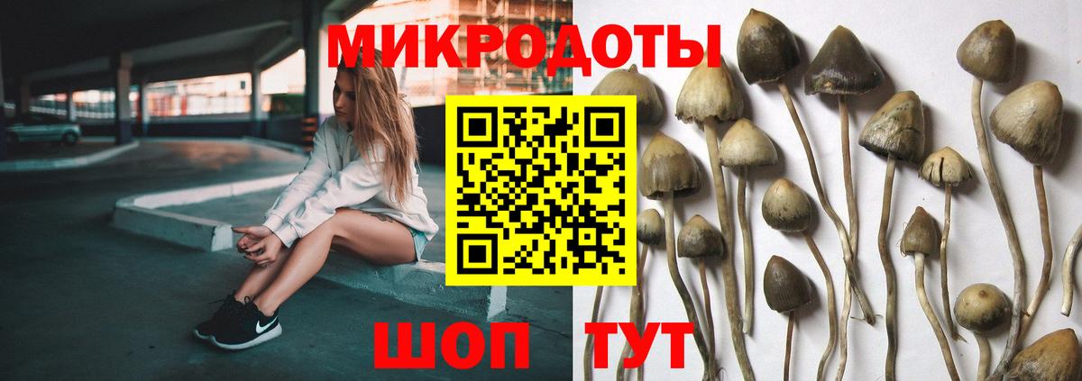 Керчь  дарнет шоп  Вход с VPN  Псилоцибиновые грибы ЛСД 